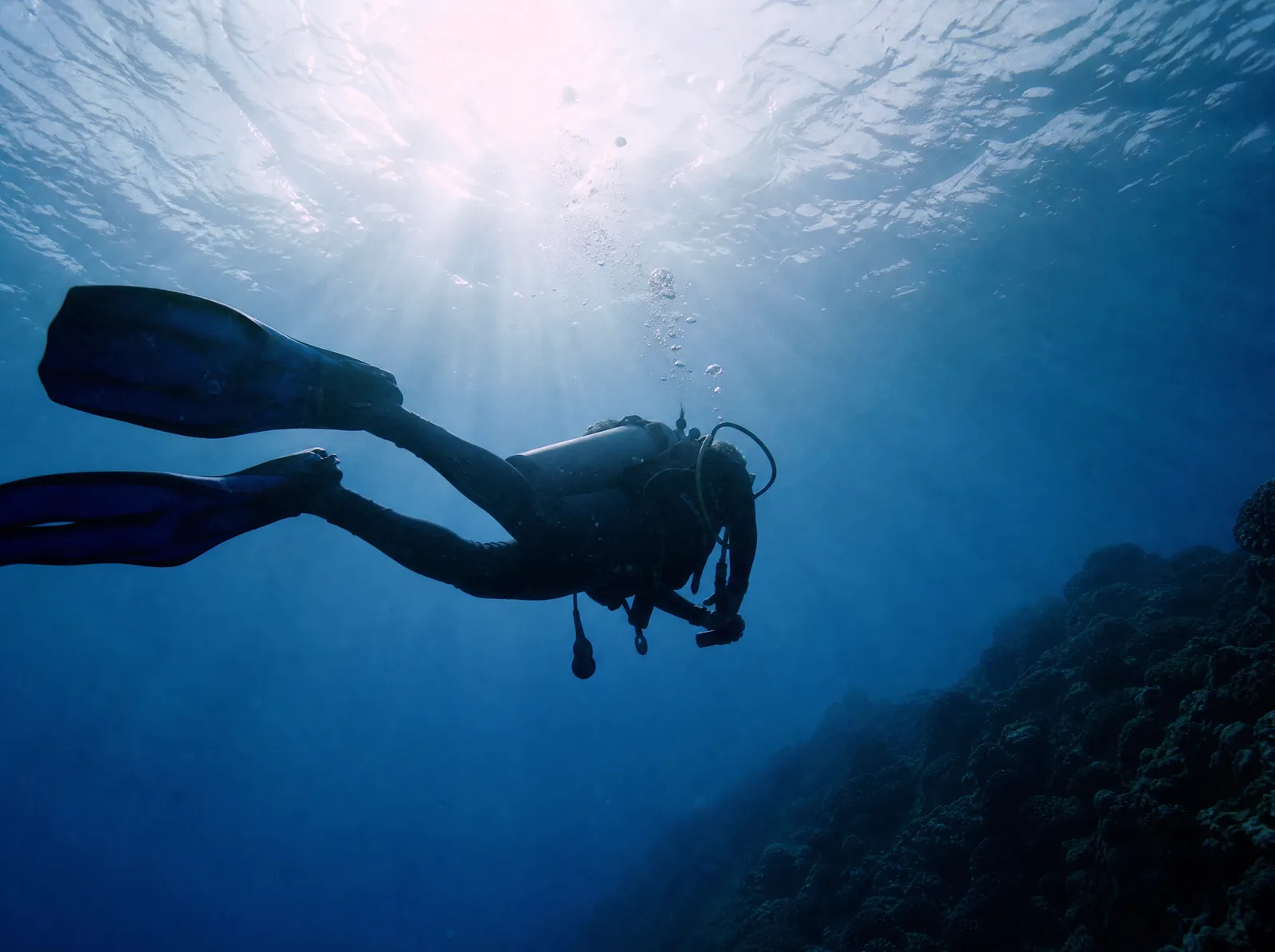 Taucher im blauen Wasser, von unten fotografiert